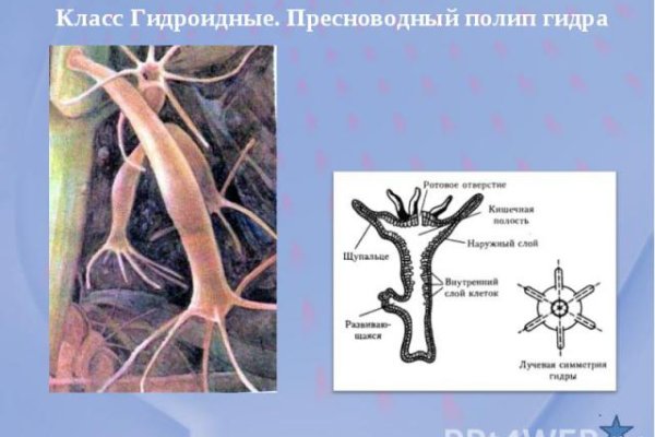 Где можно найти даркнет