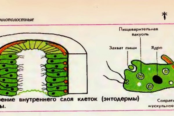 Ссылка на kraken вход