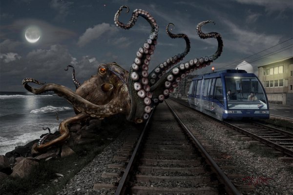 Kraken com ссылки