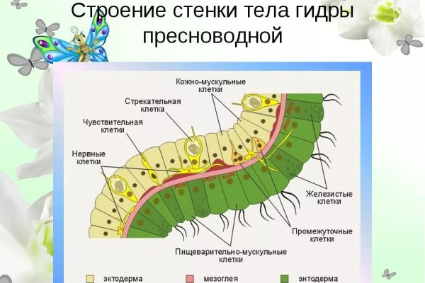 Сайт мега на торе что это