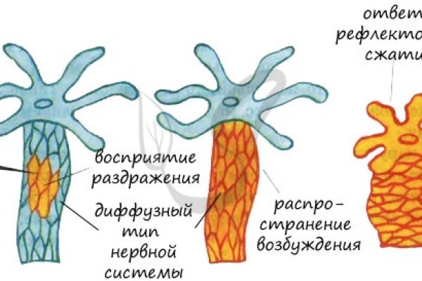 Сайт мега закладки